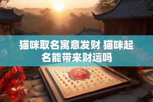 猫咪取名寓意发财 猫咪起名能带来财运吗