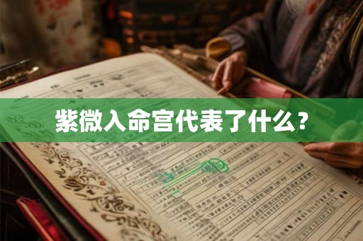 紫微入命宫代表了什么？
