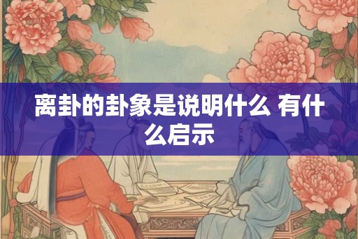 离卦的卦象是说明什么 有什么启示
