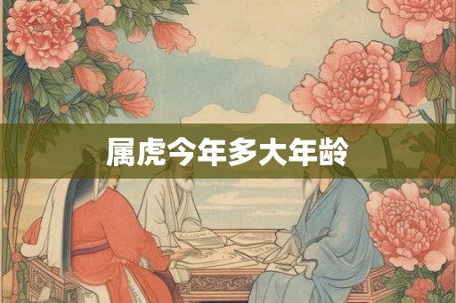 属虎今年多大年龄