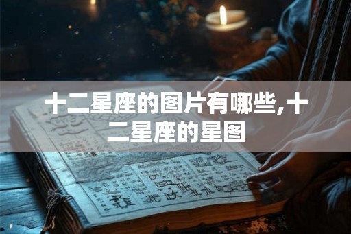 十二星座的图片有哪些,十二星座的星图