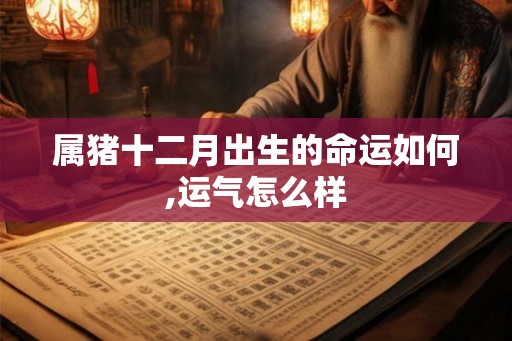 属猪十二月出生的命运如何,运气怎么样