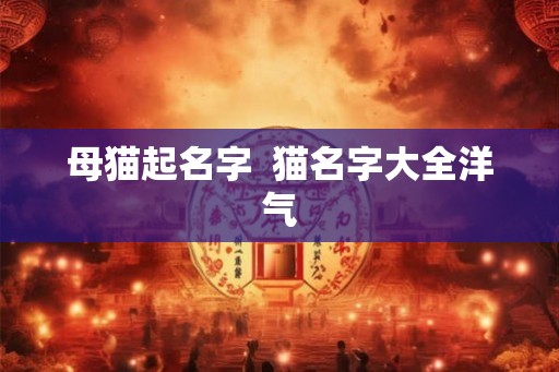 母猫起名字 猫名字大全洋气 母猫起名字 猫名字大全洋气