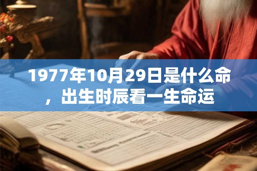 1977年10月29日是什么命，出生时辰看一生命运