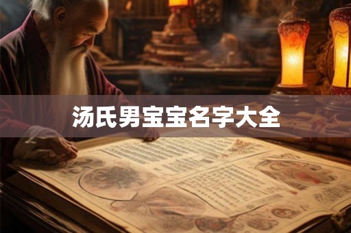 汤氏男宝宝名字大全