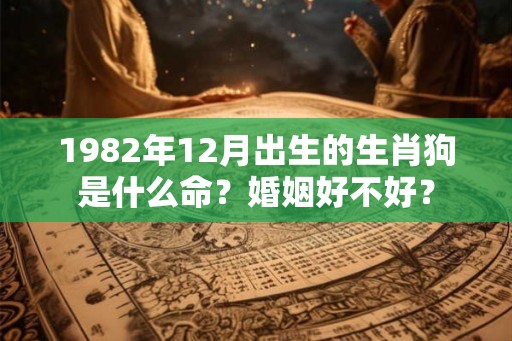 1982年12月出生的生肖狗是什么命？婚姻好不好？