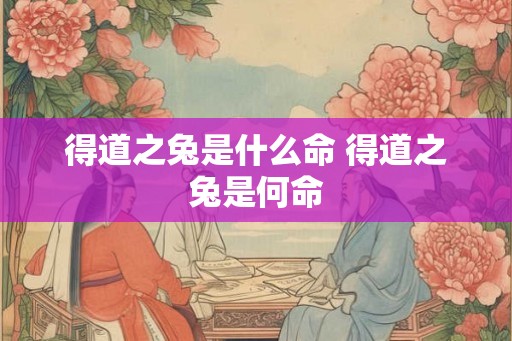 得道之兔是什么命 得道之兔是何命