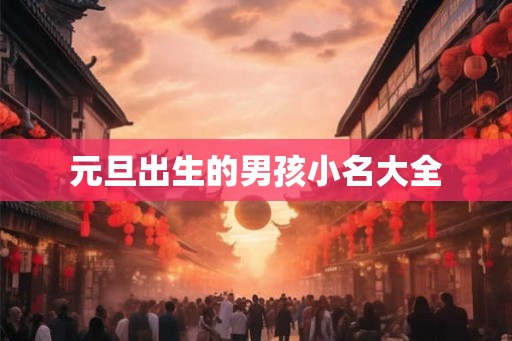 元旦出生的男孩小名大全