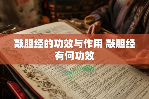 敲胆经的功效与作用 敲胆经有何功效 敲胆经的功效与作用 敲胆经有何功效
