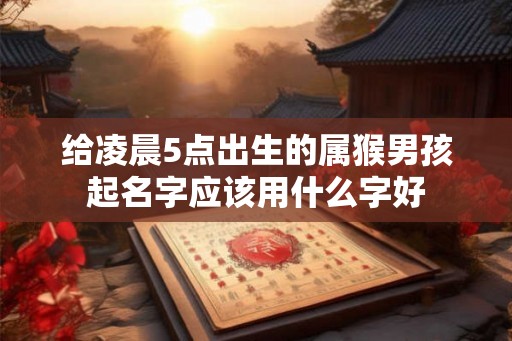 给凌晨5点出生的属猴男孩起名字应该用什么字好