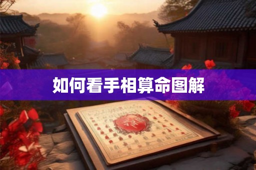 如何看手相算命图解