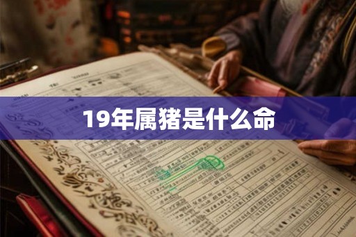 19年属猪是什么命