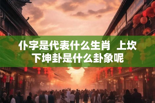 仆字是代表什么生肖  上坎下坤卦是什么卦象呢