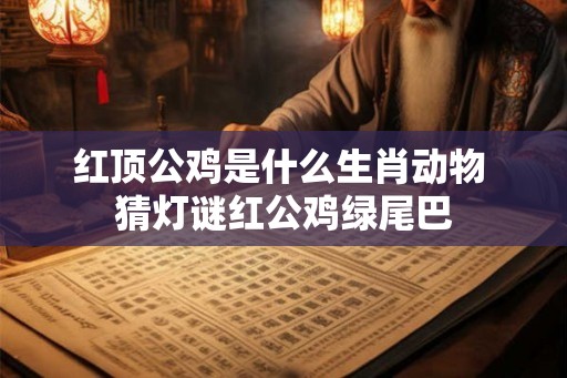 红顶公鸡是什么生肖动物 猜灯谜红公鸡绿尾巴