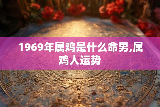 1969年属鸡是什么命男,属鸡人运势