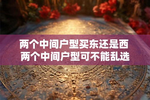 两个中间户型买东还是西 两个中间户型可不能乱选