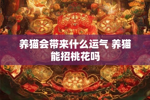 养猫会带来什么运气 养猫能招桃花吗