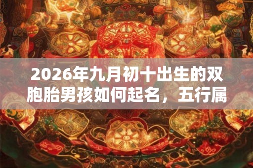 2026年九月初十出生的双胞胎男孩如何起名，五行属什么