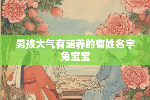 男孩大气有涵养的曹姓名字兔宝宝