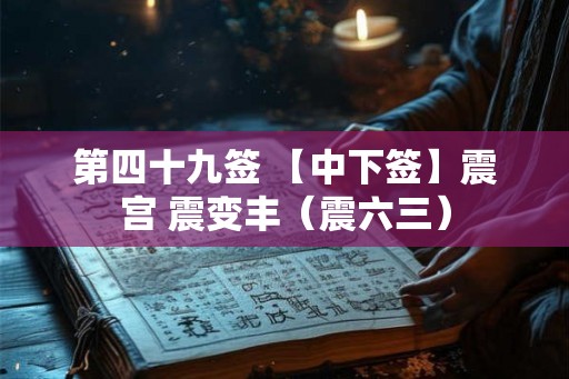 第四十九签 【中下签】震宫 震变丰（震六三）