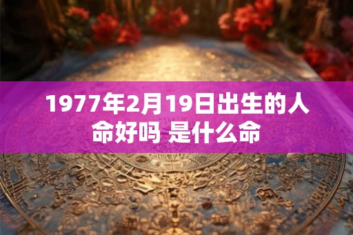 1977年2月19日出生的人命好吗 是什么命 1977年2月19日出生的人命好吗 是什么命