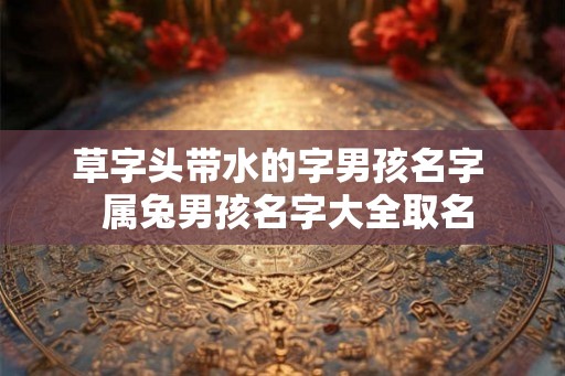 草字头带水的字男孩名字  属兔男孩名字大全取名