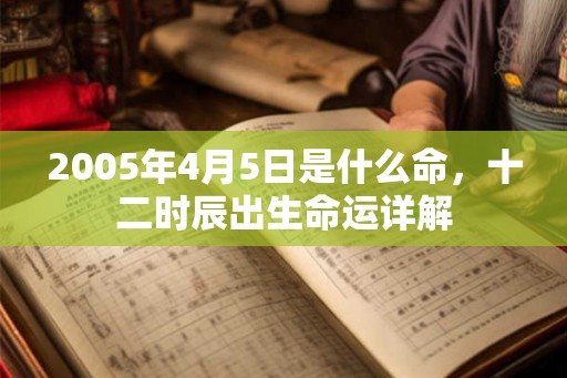 2005年4月5日是什么命,十二时辰出生命运详解 2005年4月5日是什么命,十二时辰出生命运详解