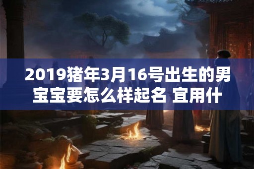 2019猪年3月16号出生的男宝宝要怎么样起名 宜用什么字