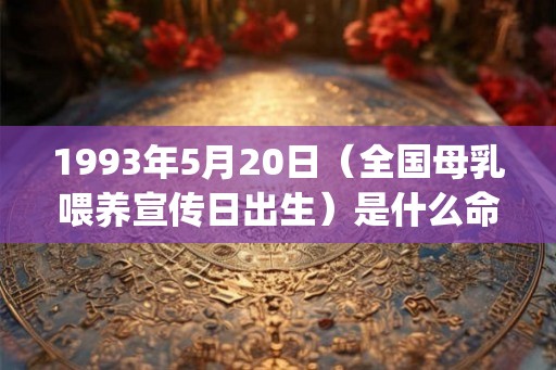 1993年5月20日（全国母乳喂养宣传日出生）是什么命_命运如何