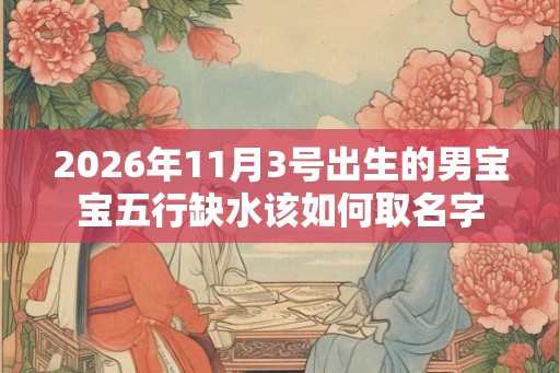 2026年11月3号出生的男宝宝五行缺水该如何取名字