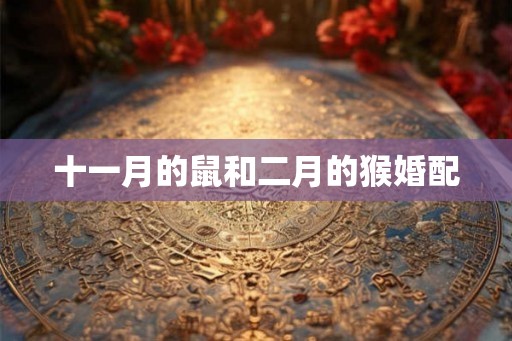 十一月的鼠和二月的猴婚配