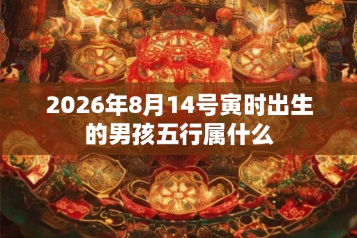 2026年8月14号寅时出生的男孩五行属什么