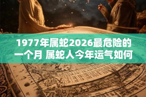1977年属蛇2026最危险的一个月 属蛇人今年运气如何
