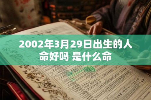 2002年3月29日出生的人命好吗 是什么命