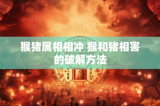 猴猪属相相冲 猴和猪相害的破解方法