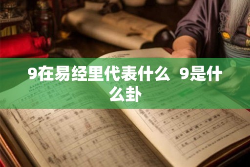 9在易经里代表什么  9是什么卦