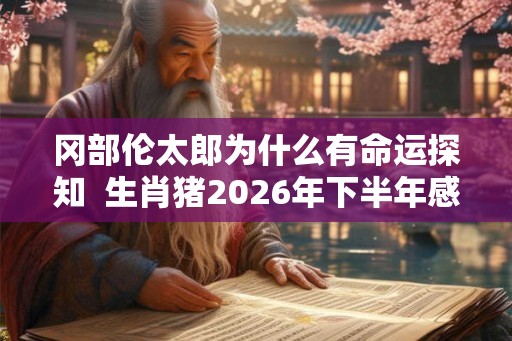 冈部伦太郎为什么有命运探知  生肖猪2026年下半年感情运势