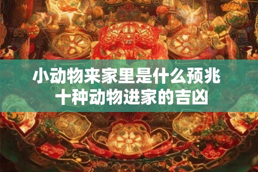 小动物来家里是什么预兆  十种动物进家的吉凶
