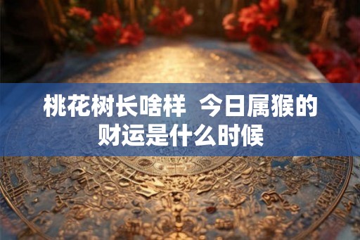 桃花树长啥样  今日属猴的财运是什么时候