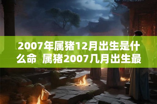 2007年属猪12月出生是什么命  属猪2007几月出生最好