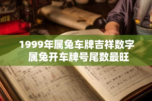1999年属兔车牌吉祥数字  属兔开车牌号尾数最旺