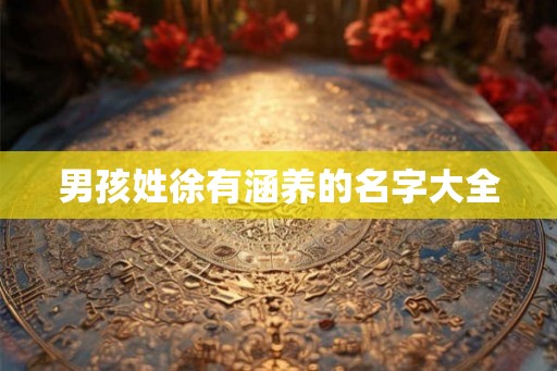 男孩姓徐有涵养的名字大全 男孩姓徐有涵养的名字大全