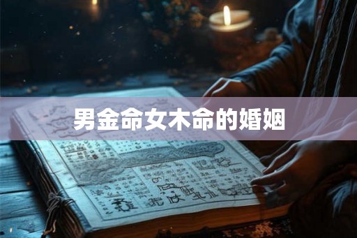 男金命女木命的婚姻