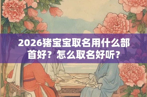 2026猪宝宝取名用什么部首好？怎么取名好听？