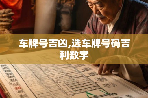 车牌号吉凶,选车牌号码吉利数字