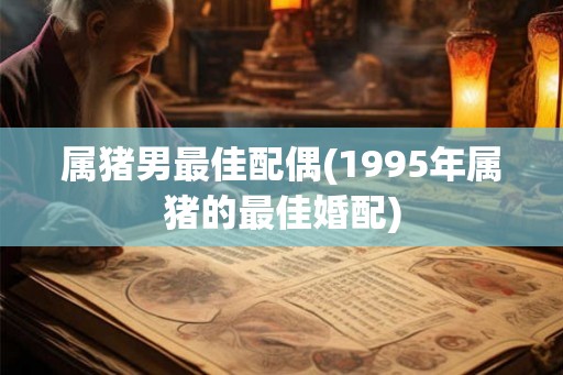 属猪男最佳配偶(1995年属猪的最佳婚配)