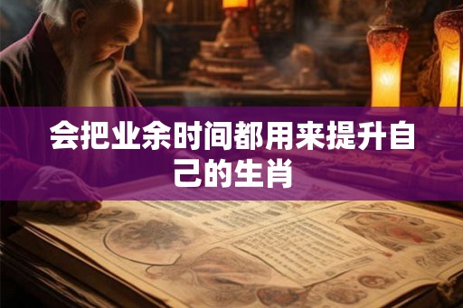 会把业余时间都用来提升自己的生肖