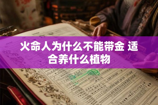火命人为什么不能带金 适合养什么植物