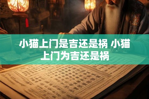 小猫上门是吉还是祸 小猫上门为吉还是祸 小猫上门是吉还是祸 小猫上门为吉还是祸