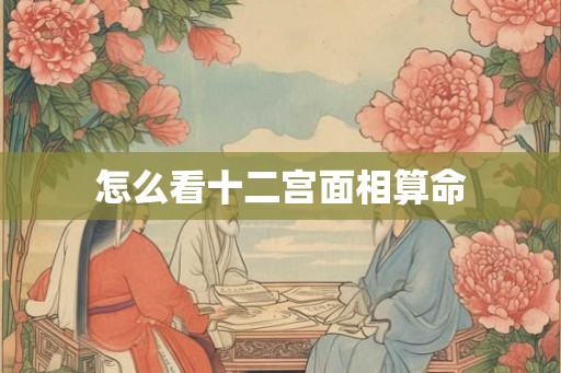 怎么看十二宫面相算命